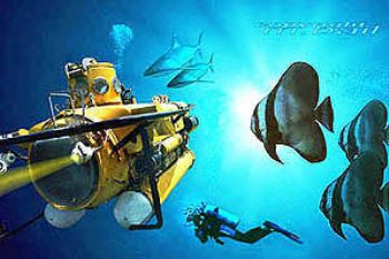 PNG - New Britain - Walindi - Batfish - COMPOSING > Subma... by Manfred Bail 